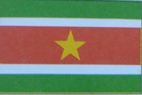 Bandeira do Suriname